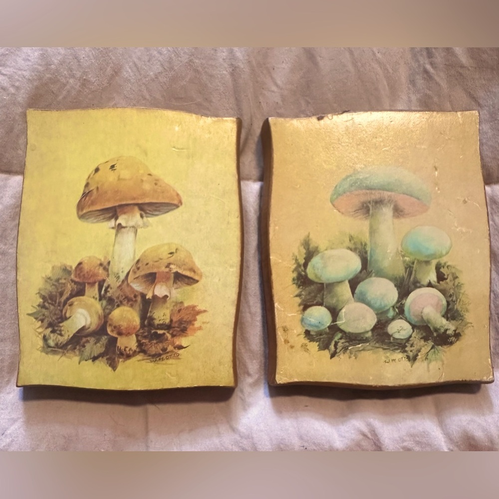 Vintage wooden mushroom plaques